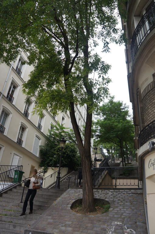 Studios De Charme A Montmartre Paris Exterior photo